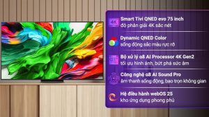 Smart Tivi QNED evo LG AI 4K 75 inch 75QNED86ASA 2025 - Indonesia